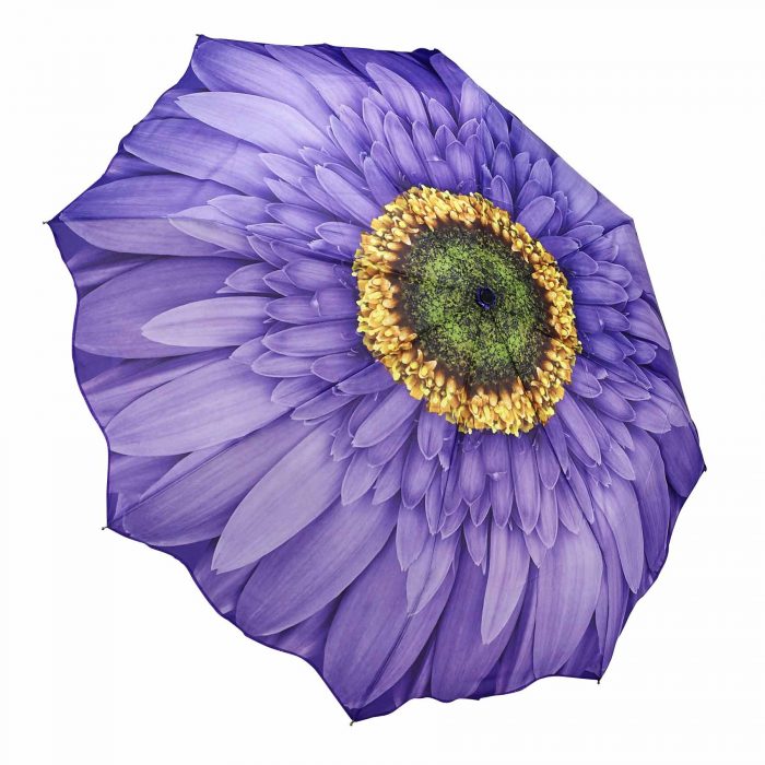 Purple Wisteria Daisy Folding Umbrella